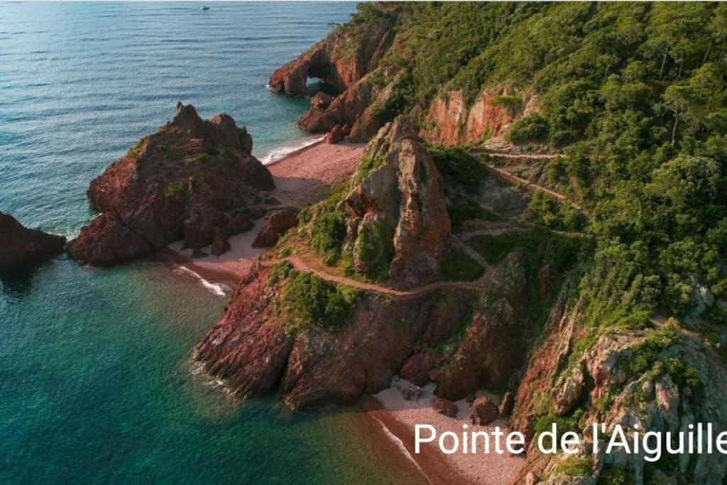 Claelle Appartment - 200M Beach Mandelieu Eksteriør billede