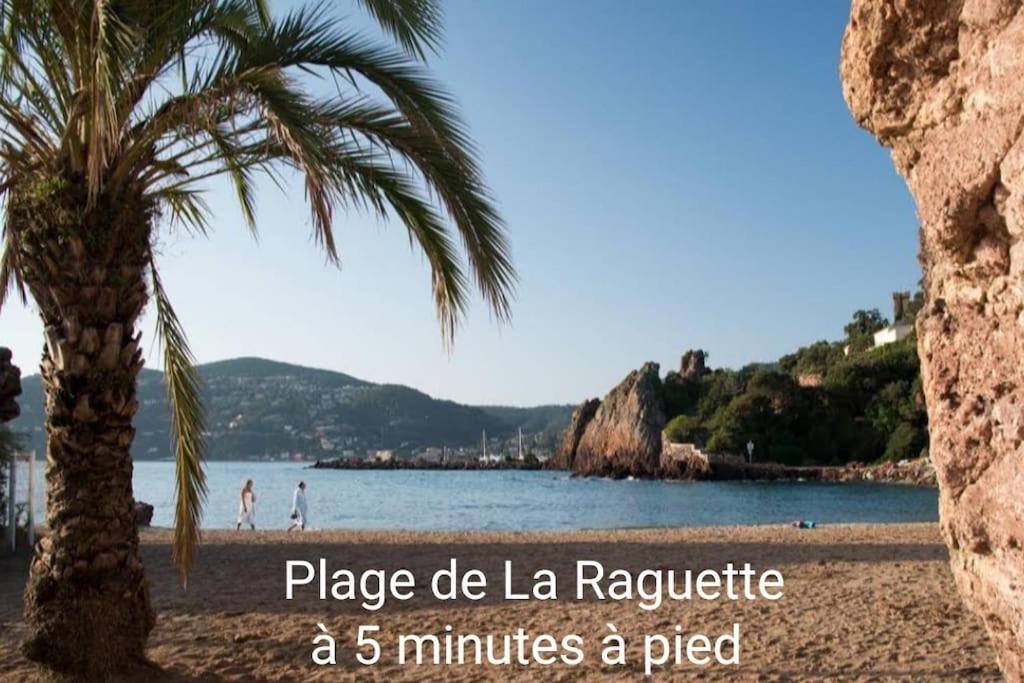 Claelle Appartment - 200M Beach Mandelieu Eksteriør billede